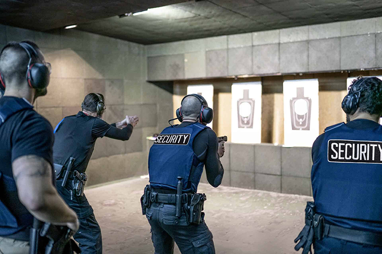 nevada armed security training